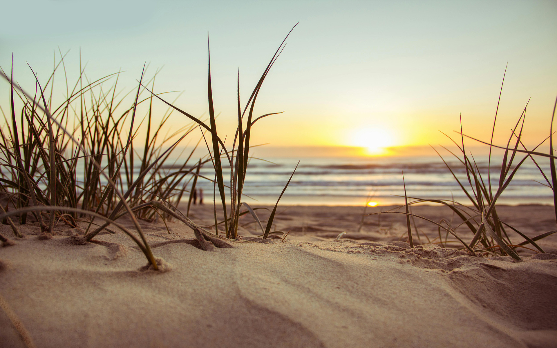 THE BEACH